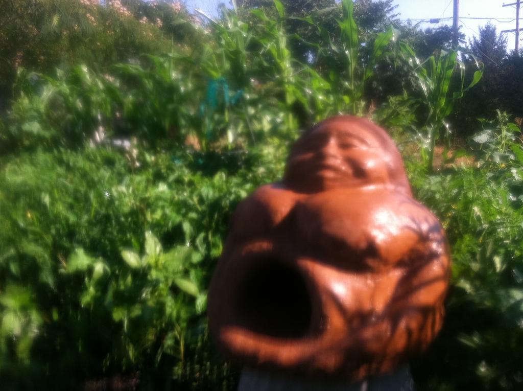 Hotel Hobbit Hut Geyserville Exterior foto